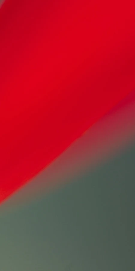 Abstract Red Flower Petal Macro 4K Phone Wallpaper