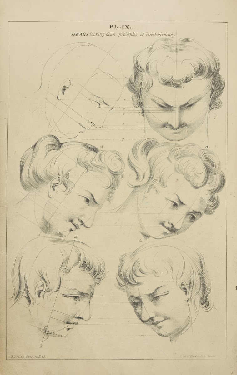 Heads  showing character by variation from a given rule 1831