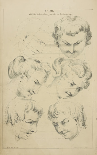 Heads  showing character by variation from a given rule 1831
