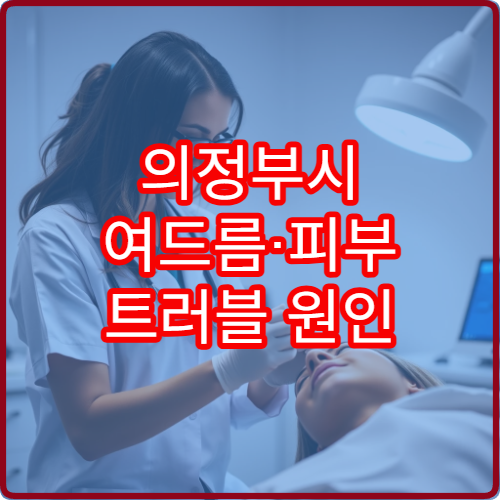 의정부시 여드름·피부 트러블 원인 분석과 치료 가능한 피부과 병원