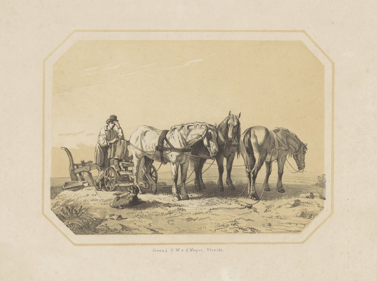 Paarden voor een ploeg 1825 1873