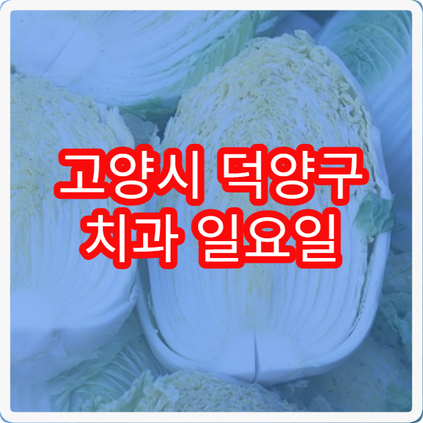 고양시 덕양구 치과 일요일 진료 병원 주말에도 치료 가능한 치과 안내