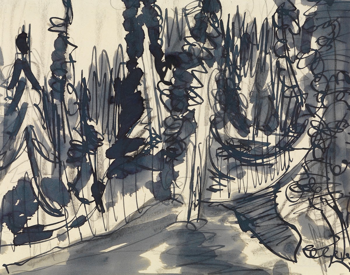 Tannenwald Bergwald Studie 1936