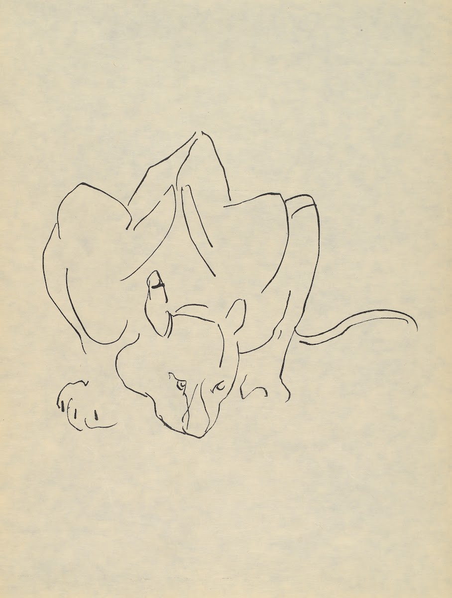 H Gaudier Brzeska 1891 1915 Pl04 1919