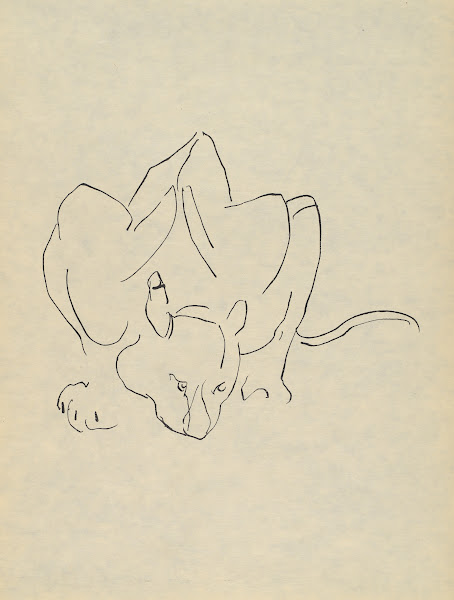 H Gaudier Brzeska 1891 1915 Pl04 1919