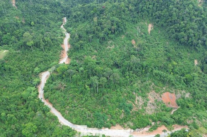 Hình hài tuyến đường mới xuyên đại ngàn hiểm trở ở TP. Huế - Báo Tiền Phong