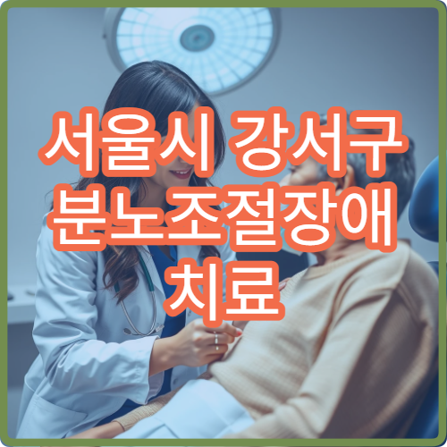 서울시 강서구 분노조절장애 치료 상담 그룹 테라피 전문 센터