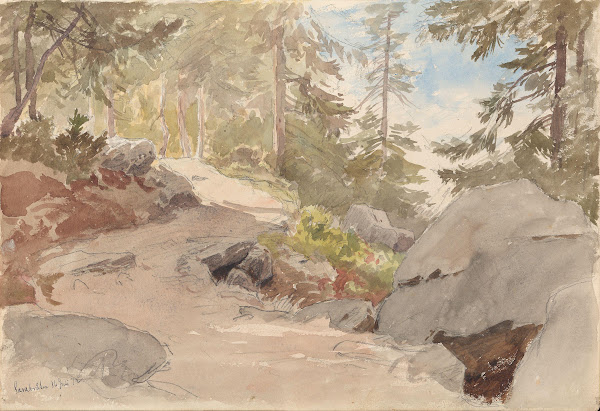 Skogsinteriør Sarabråten 1872