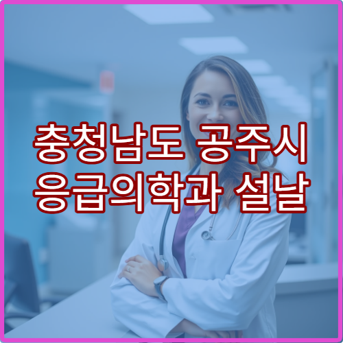 충청남도 공주시 응급의학과 설날 연휴 24시간 응급 상황 대처 병원