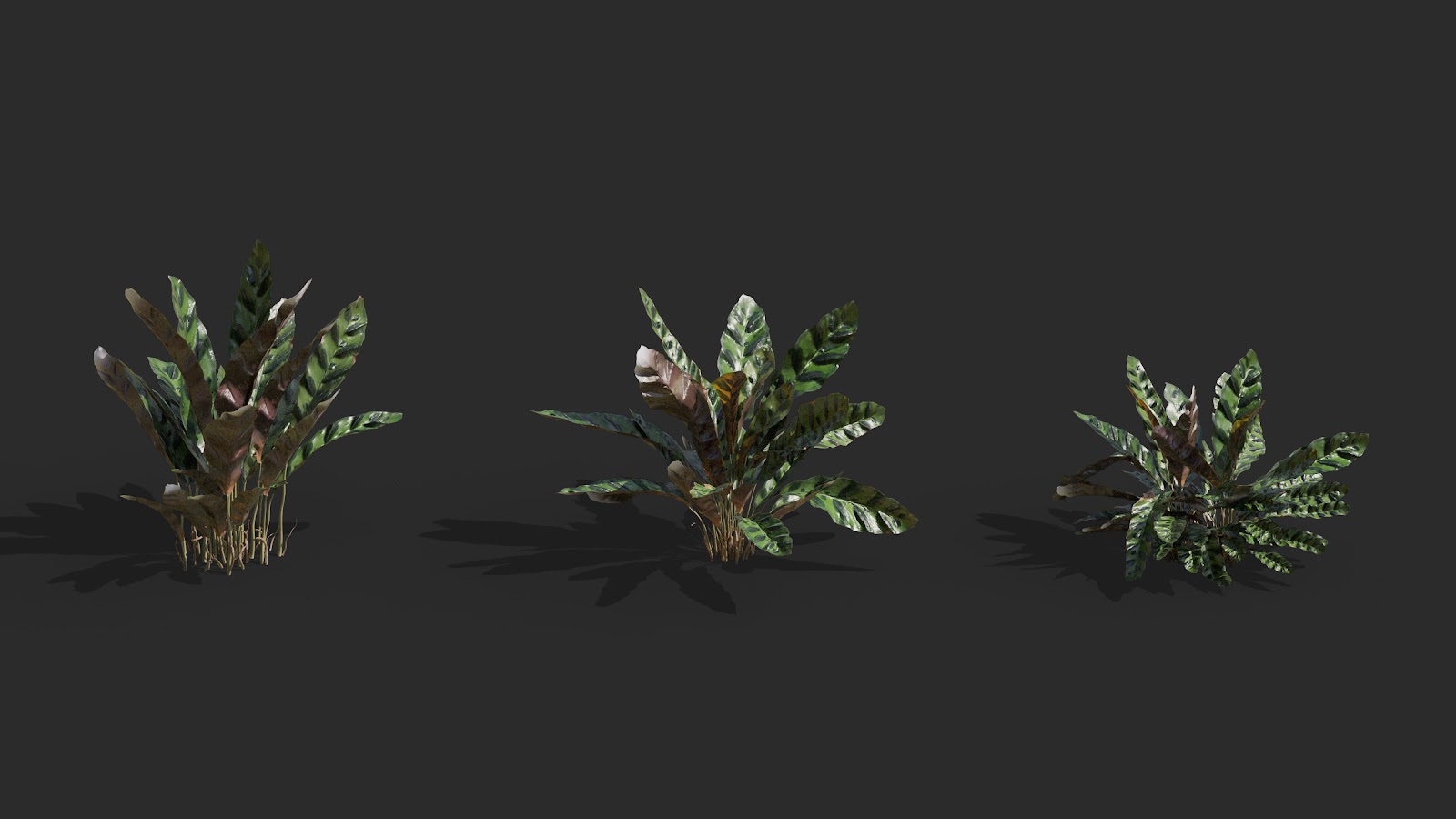 Maxtree - Plant Models Vol.62