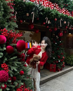 Đứa Trẻ Trong Bụng Mẹ