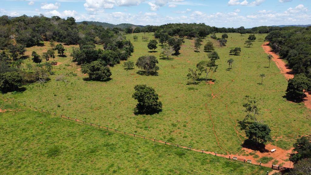 Fazenda no Município de Santa Cruz- GO. 3