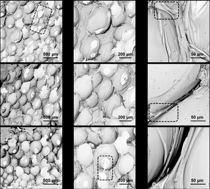 Semi-quantitative analysis of the structural evolution of mesophase pitch-based carbon foams by Raman and FTIR spectroscopy