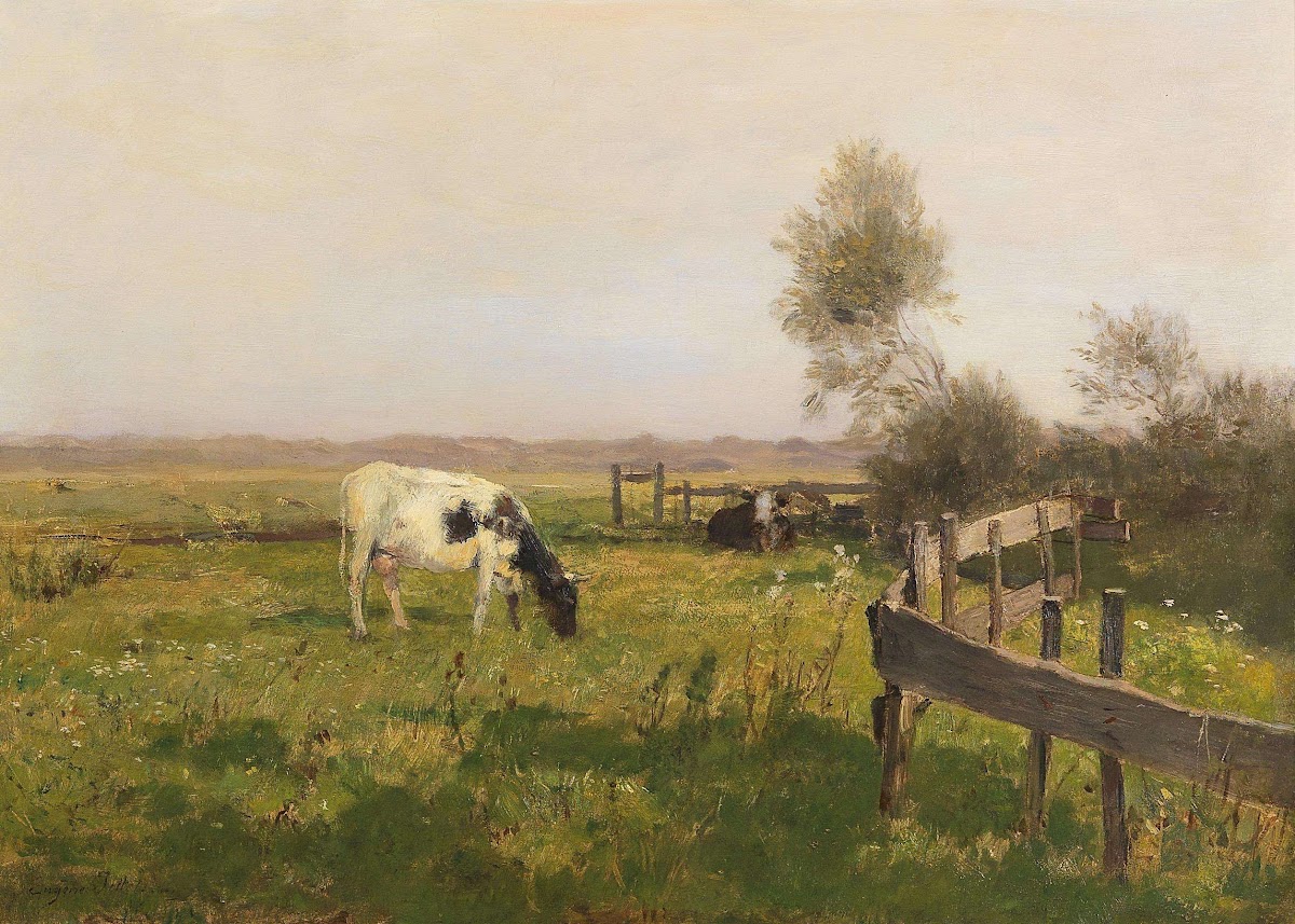 Kühe auf der Weide