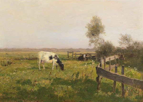 Kühe auf der Weide