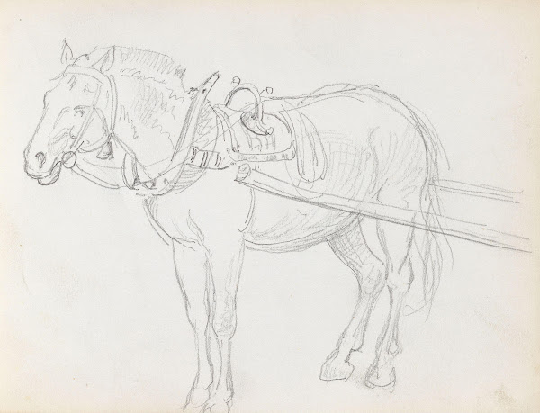 Horse between 1865 and 1872