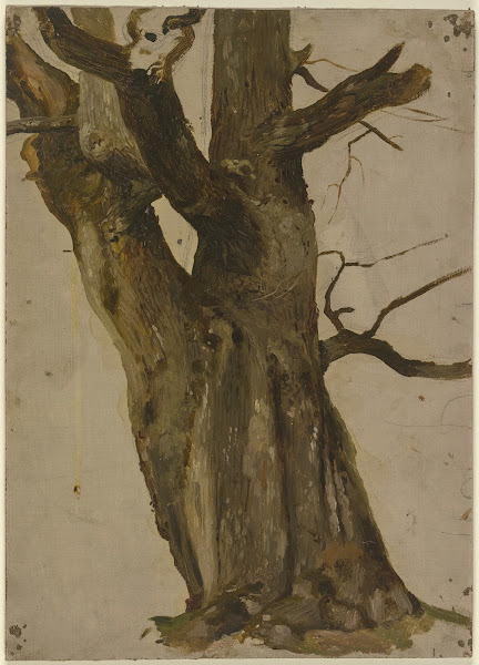 Hollow tree