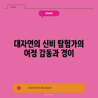 내셔널지오그래픽 탐험, 내셔널지오그래픽 여행, 탐험 이야기, 자연 탐사, 과학과 탐험
