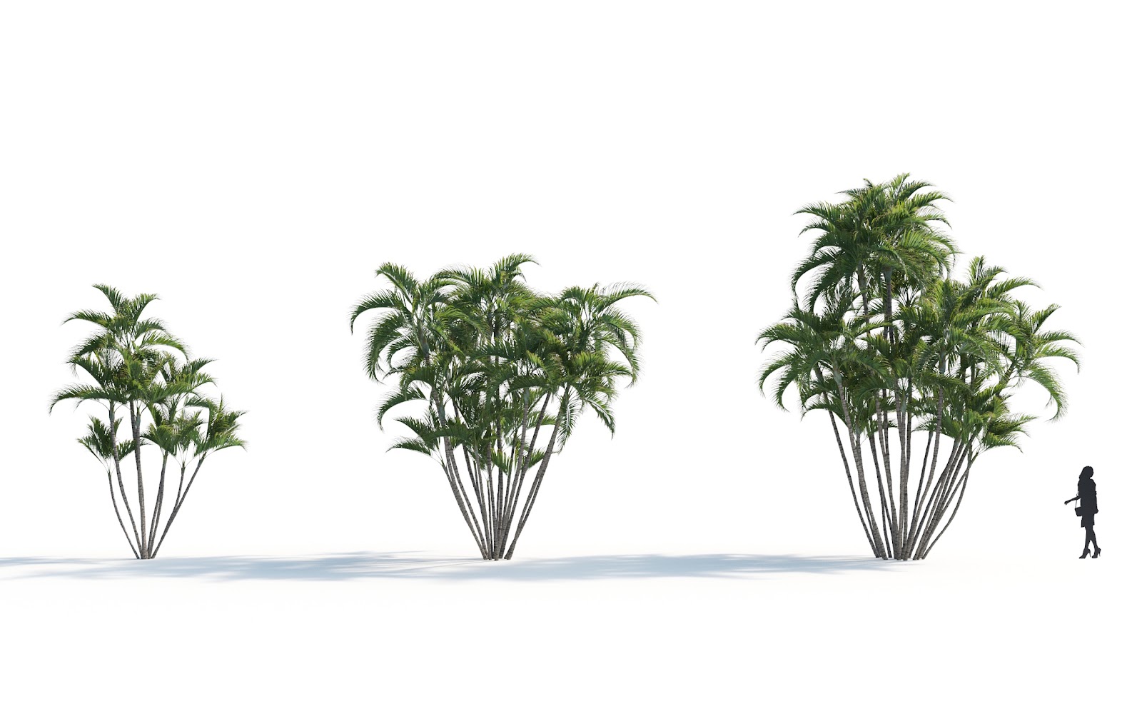 Maxtree - Plant Models Vol.7