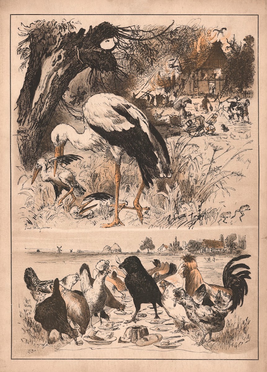 About the stork the raven and the chickens 1915