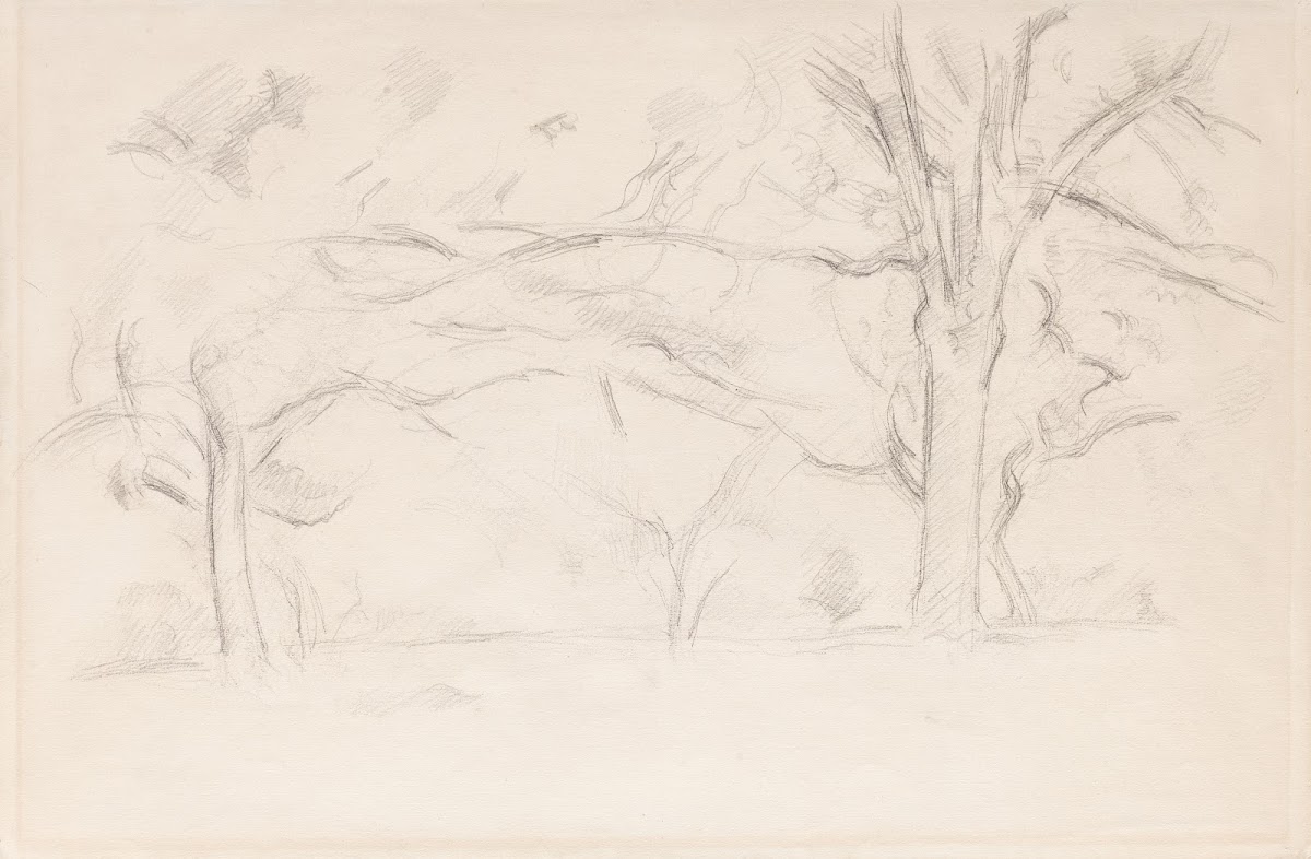 Arbres au Jas de Bouffan circa 1892   1895