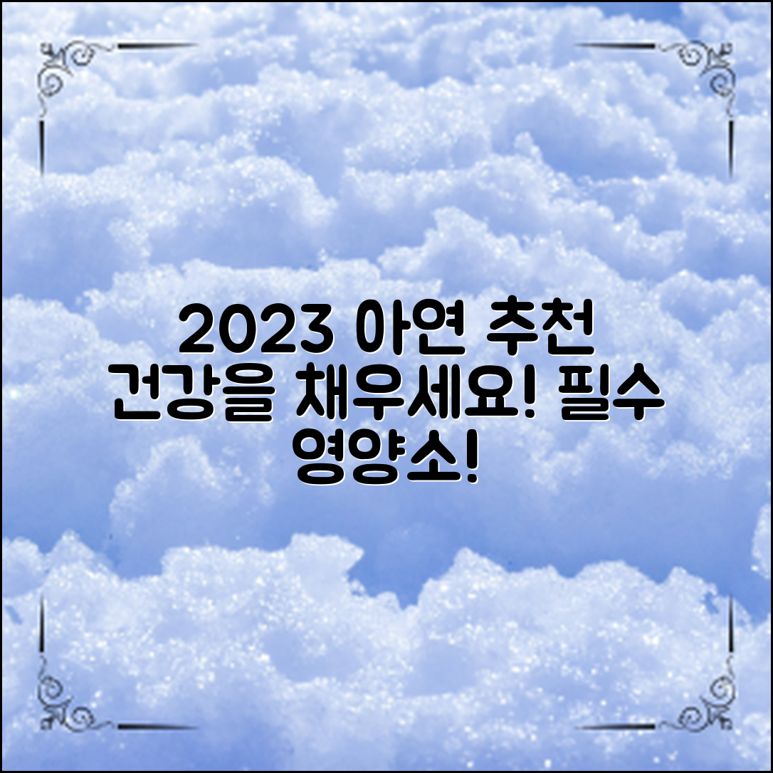 2023년 아연 영양제 추천, 건강을 채우세요!