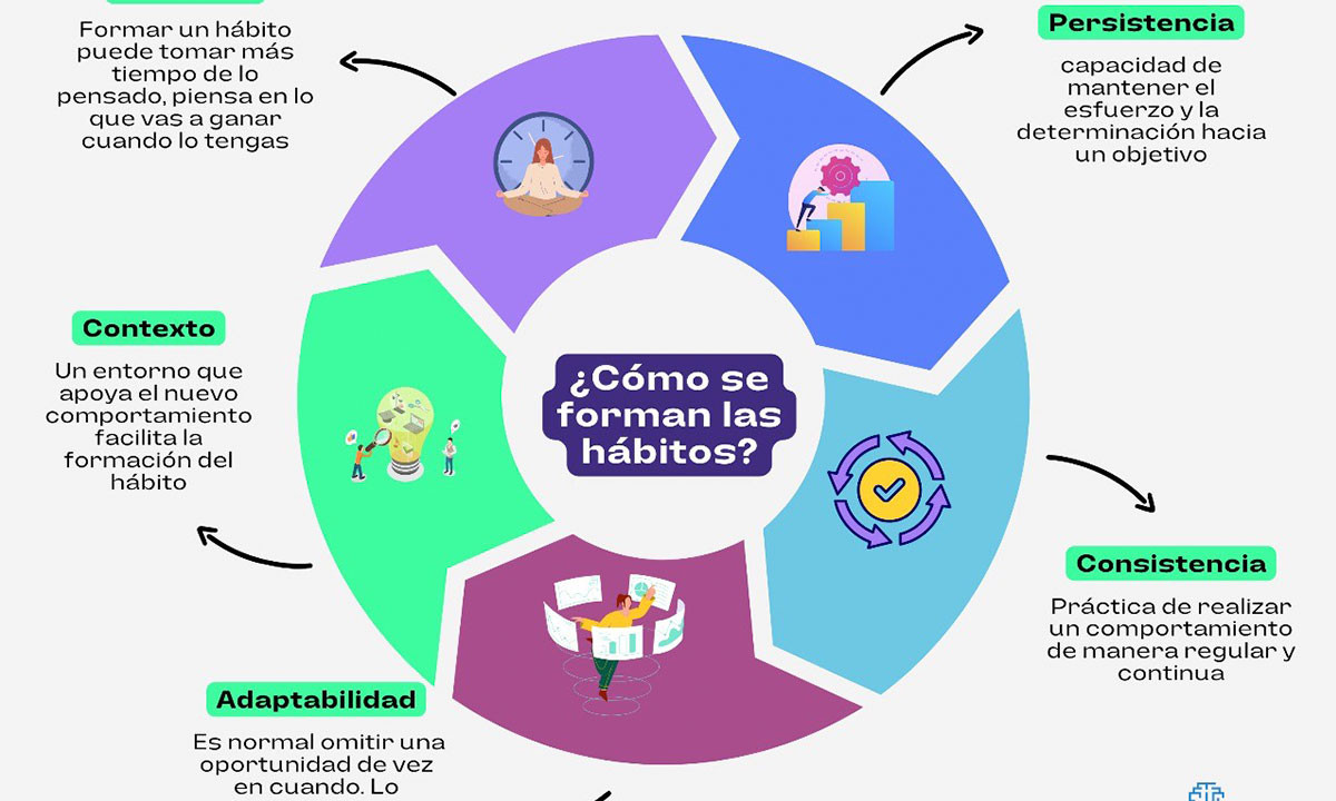 ¿Cómo se forman los hábitos? Estudio revela procesos complejos