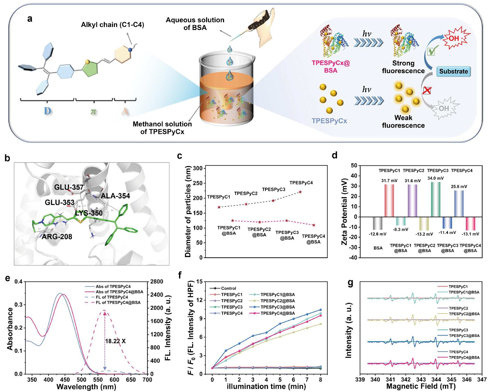 Photoactivated hydroxyl radical generators with highly efficient charge separation for oxygen-independent photodynamic therapy