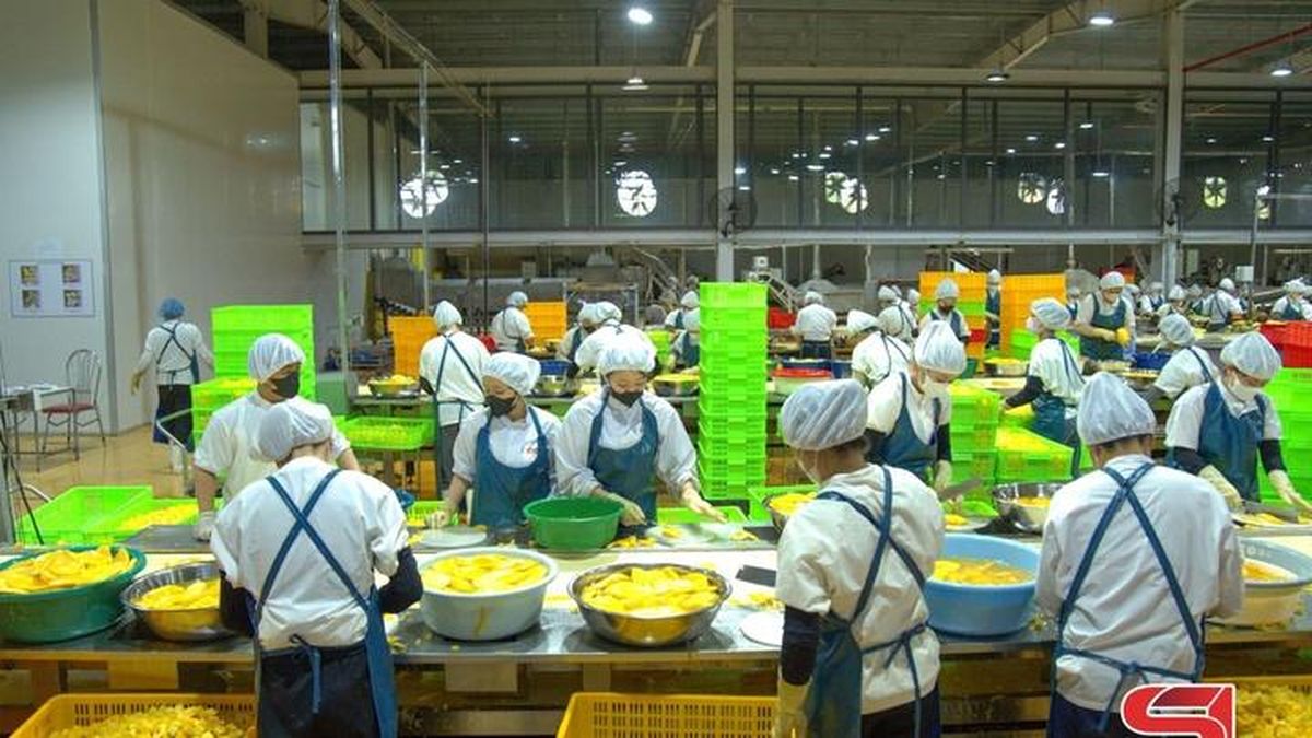 Tăng giá trị cây ăn quả từ chế biến sâu - Báo Sơn La