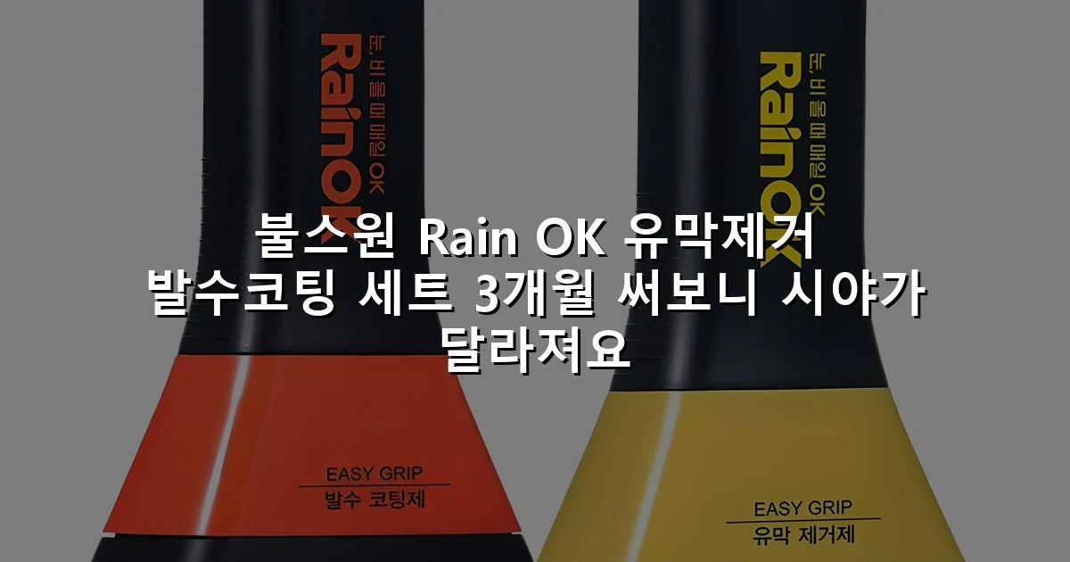 불스원 Rain OK 유막제거 발수코팅 세트 3개월 써보니 시야가 달라져요