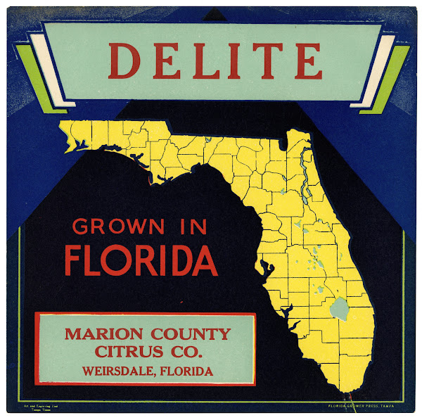 Citrus Label for Delite  Black and Blue 1930 1950
