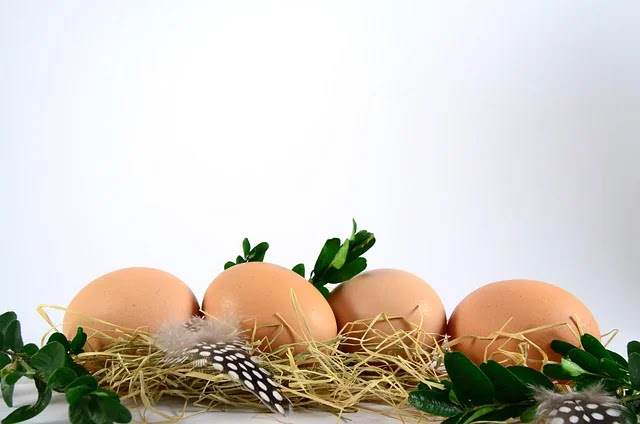 단백질 권장량은 왜 사람마다 다를까?