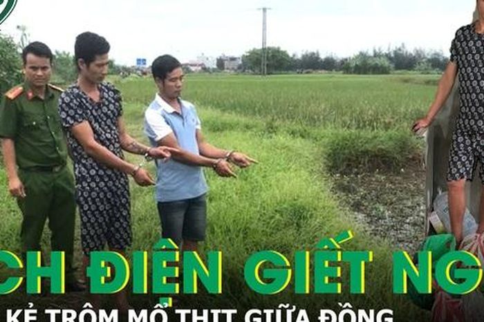 Bắt giữ 2 kẻ kích điện giết nghé, mổ thịt ngay giữa đồng để phi tang - Báo Sức Khỏe &amp; Đời Sống