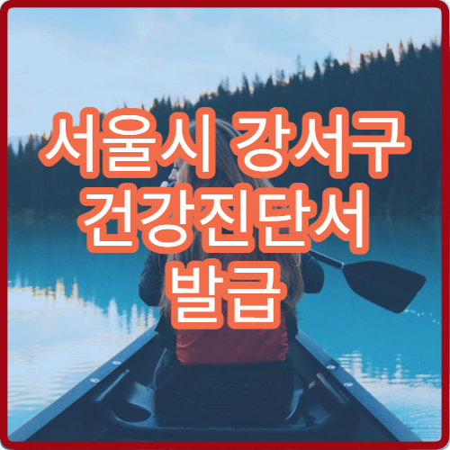 서울시 강서구 건강진단서 발급 비용 보건소와 병원 발급 차이 정리