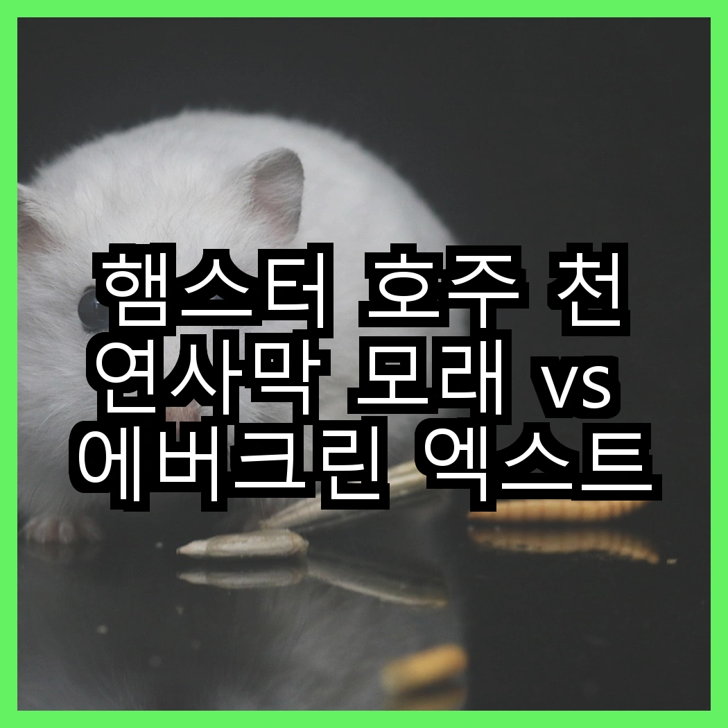 햄스터 호주 천연사막 모래 vs 에버크린 엑스트라 스트롱 고양이 모래, 어떤 모래가 더 효과적일까? 썸네일