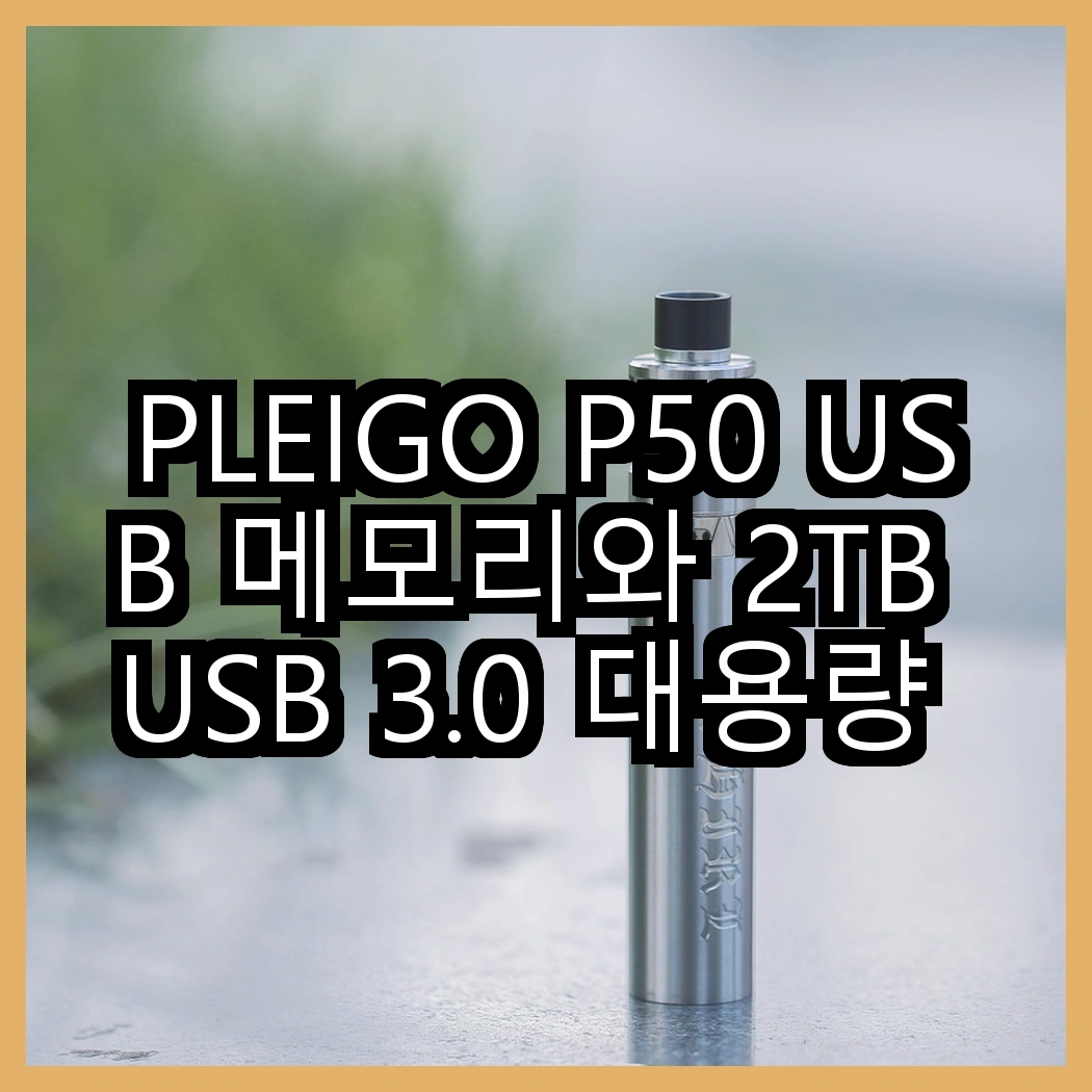 PLEIGO P50 USB 메모리와 2TB USB 3.0 대용량 메모리, 어떤 선택이 더 알맞을까? 썸네일
