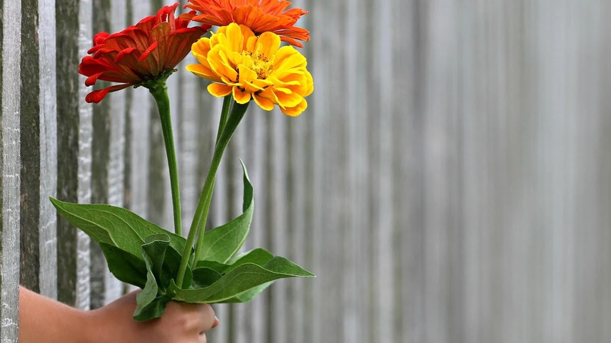 행복이란 단어의 철학적 의미 변화와 문화별 해석 비교