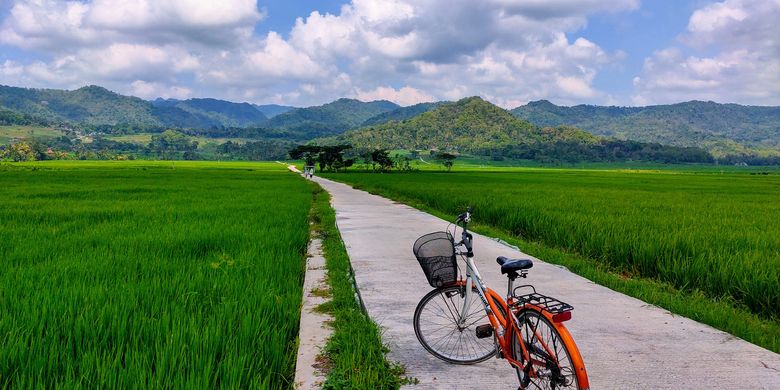 Eco friendly activities, Marine conservation activities holiday, Wildlife conservation activities holiday, sustainable activities holiday. CarbonEthics Indonesia