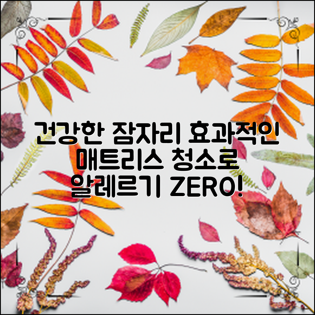 효과적인 매트리스 청소를 통해 건강한 잠자리를 만들어 보세요. 알레르기 유발 물질을 없애는 방법을 알려드립니다.