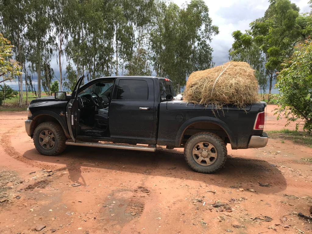 Fazenda no Sul do Piauí 6