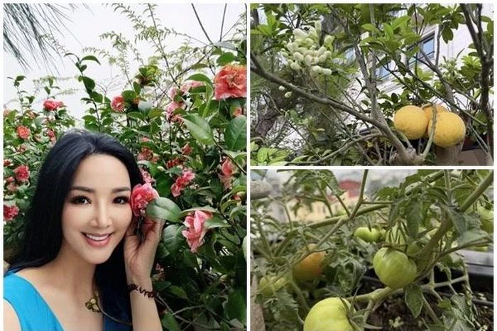 Khu vườn sum suê hoa trái trong biệt thự của 'Hoa hậu chưa có người kế vị' - Báo Tri thức &amp; Cuộc sống
