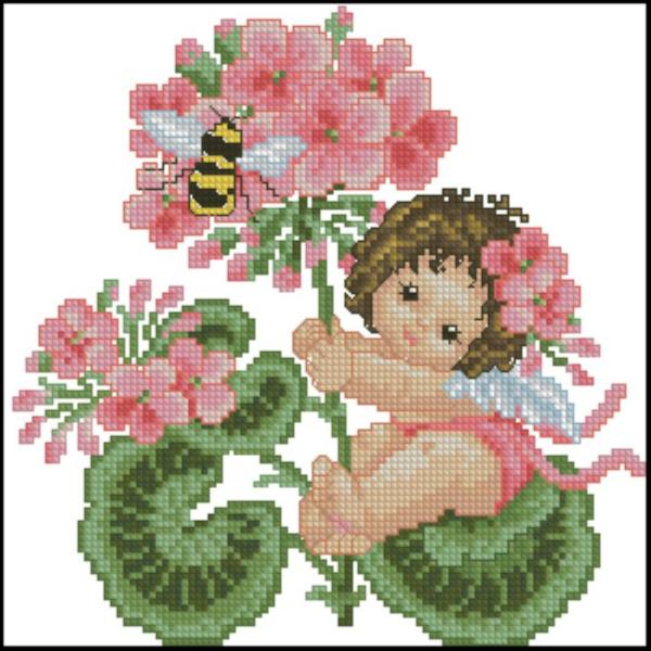 CMP 220024 Geranium Fairy