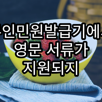 무인민원발급기에서 영문 서류가 지원되지 않는 이유