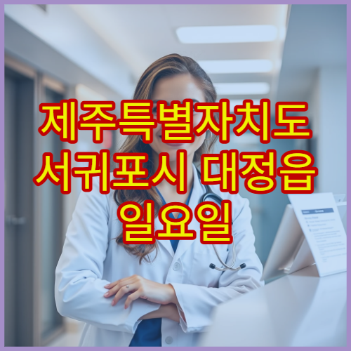 제주특별자치도 서귀포시 대정읍 일요일 휴일 운영 약국 위치 확인