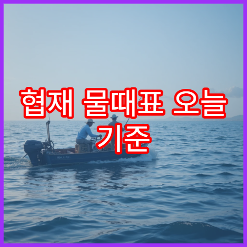 협재 물때표 오늘 기준 제주 서해안 바다타임 안내