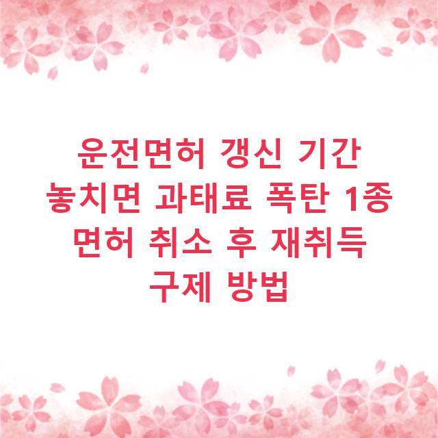 운전면허 갱신 기간 놓치면 과태료 폭탄 1종 면허 취소 후 재취득 구제 방법