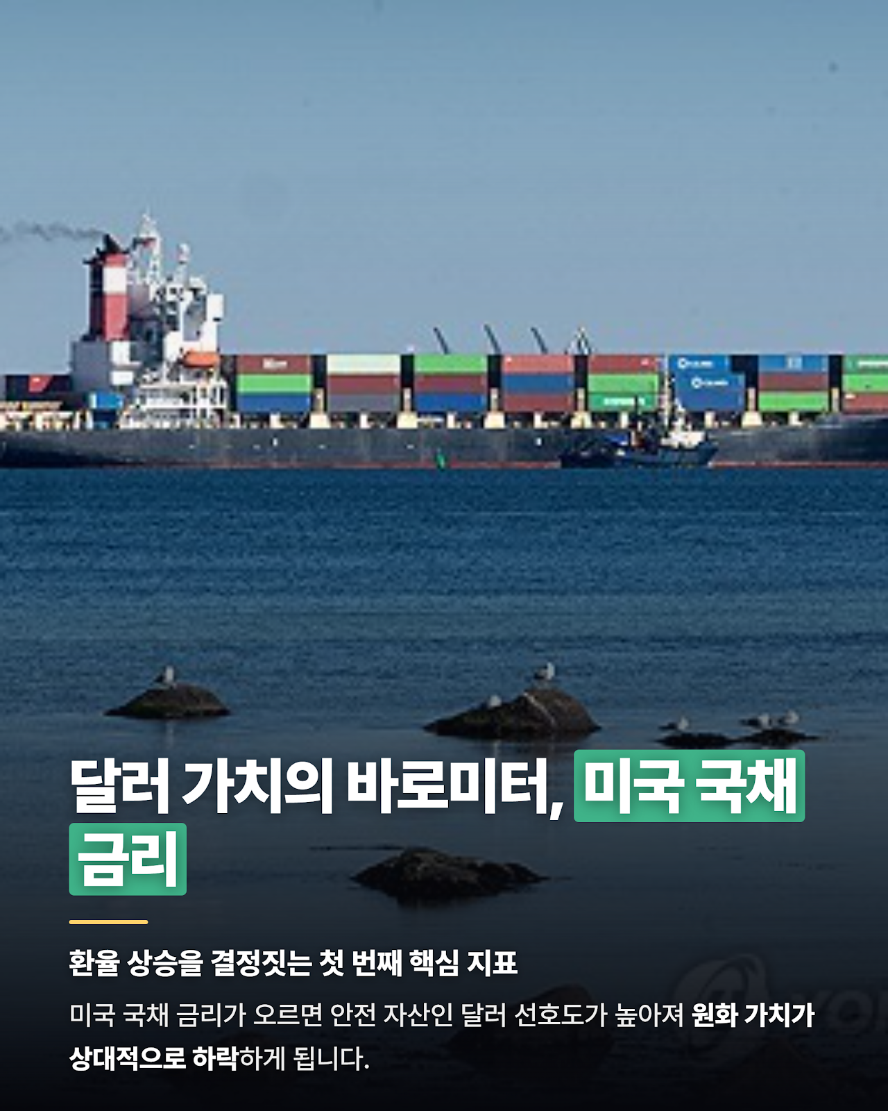카드뉴스