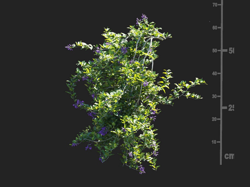 Maxtree - Plant Models Vol.112