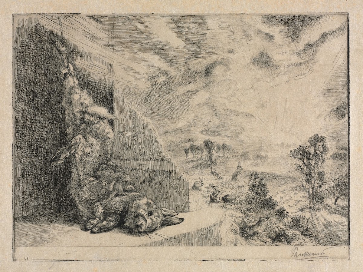 The Wild Rabbit 1891
