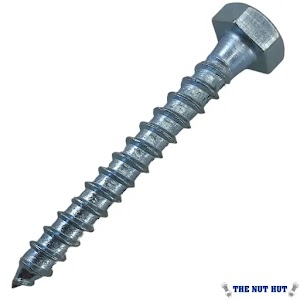 Coach Screws M8x120 304 571